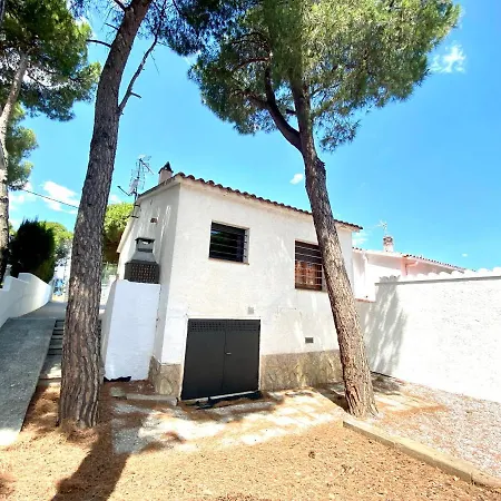 Delfi D'or L' Escala
