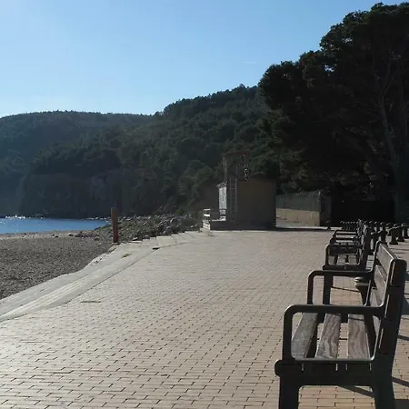 Delfi D'or *