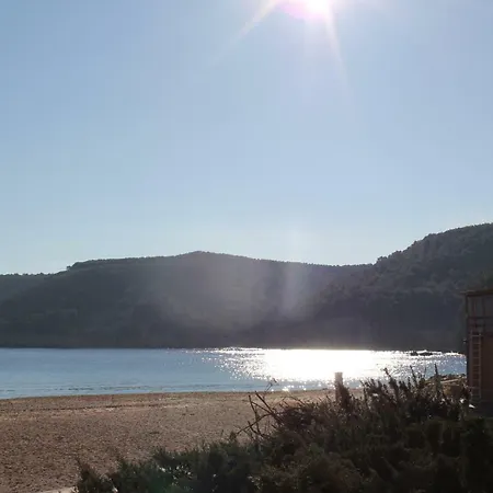 Delfi D'or *